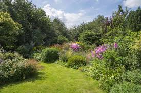 planting perennial borders tips and ideas
