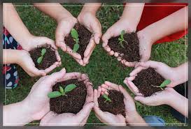 loamy soil how to use it for gardening