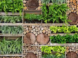 How To Create A Living Wall