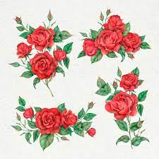 red rose images free on freepik