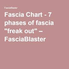 What Is Fascia Fascia Blaster Fascia Blasting Fascia