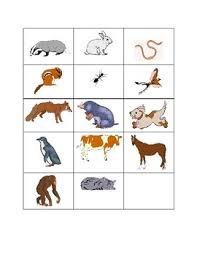Download printable animal coloring pages free. Underground Animals Worksheets Teaching Resources Tpt