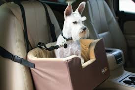 Dog Car Seats Australia Guide