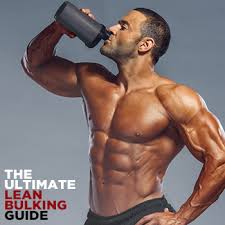 the ultimate lean bulking t guide