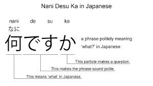Nani desu ka: what does it mean & why is it weird?