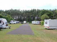 best csites in the new forest