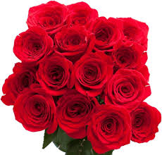 fresh mothers day red roses beautiful
