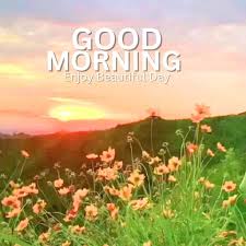 444 good morning nature images 2024