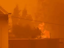 Esta tarde la onemi declaró alerta roja para la comuna de quilpué por un incendio forestal que se en el lugar se encuentran trabajando bomberos y carabineros de quilpué, ocho brigadas de la. 8l00o V3gxejfm