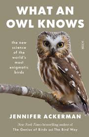what an owl knows book scribe