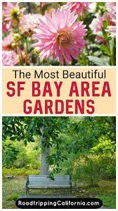 14 Bay Area Gardens To Visit In And