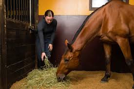 nutrition and the equine topline the