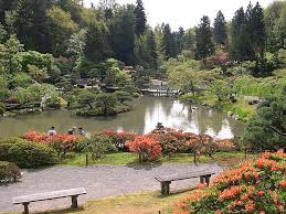 File Seattle Japanese Garden Jpg