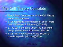 the cell theory presentation cell biology
