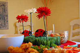 Ladybug Birthday Party Miss Frugal