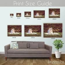 Photo Print Size Guide Chart In 2019 Wedding Photo Walls