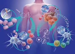 Что такое цитокиногенетическая терапия: эффективность лечения - Астманиа -  Портал о болезнях дыхательных путей