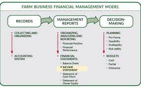 balance sheet structure farm management
