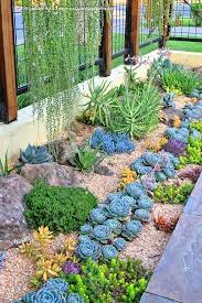 100 Succulent Garden Ideas For