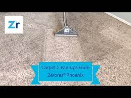 best carpet clean ups from zerorez