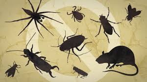 Image result for Pest Manage
