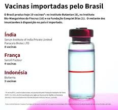 A exportação para o brasil de dois milhões de doses da vacina de oxford produzidas na índia continua incerta. De Onde Vem As Vacinas Que O Brasileiro Toma Tecmundo