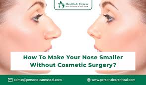 how to make your nose smaller without