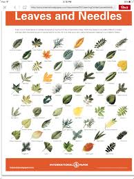 Leaf Chart Plants Trees In 2019 Tree Leaf