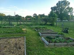 oxford community garden offers lou