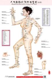 Us 16 85 Standard Meridian Points Of Human Wall Chart Female Acupuncture Massage Point Map Flipchart Hd 3 Chinese English Women Men In Massage