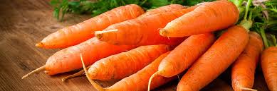 carrot calories and nutritional value