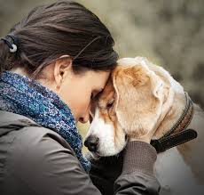5 ways to tell your dog you love them