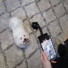 selfie stang til hunde tryk her