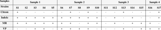 Results Of Biochemical Tests Imvic Tests Download Table