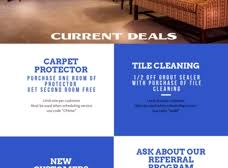 professional carpet care cleaners