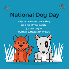Great for all ages and for the dog lovers in your life! Sbdc National Dog Day 1701 Coworking In The Vibe