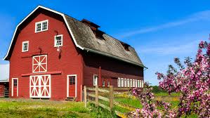 cost to convert a barn into a home
