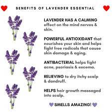 Maybe you would like to learn more about one of these? Efero Skin Benefits Of Lavender Plant Facebook