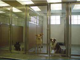 Dog Kennel Glass Door Direct Animal