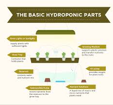 Hydroponics For Beginners The Definitive Guide Green And