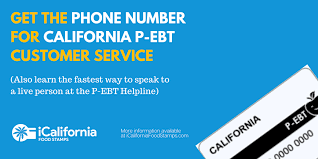 california p ebt phone number speak to