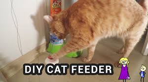 Fat pet feeder is a fully automatic 3d printed arduino pet feeder. Diy Arduino Cat Feeder Arduino Project Hub