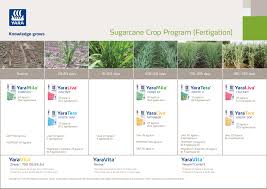 Fertiliser Application Strategies For Sugarcane Yara India