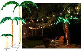 Lighted Palm Trees