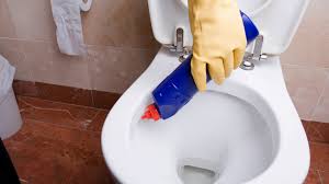 How To Clean A Toilet And Remove Stains