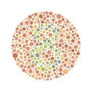 color blindness color blind test