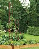 how-deep-should-a-raised-garden-bed-be-for-tomatoes