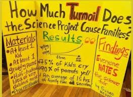 Science Fair Project Board Joke Popsugar Australia Parenting