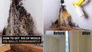 Get Rid Of Mould On Walls Permanently