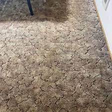 1 rug cleaning in corvallis or over